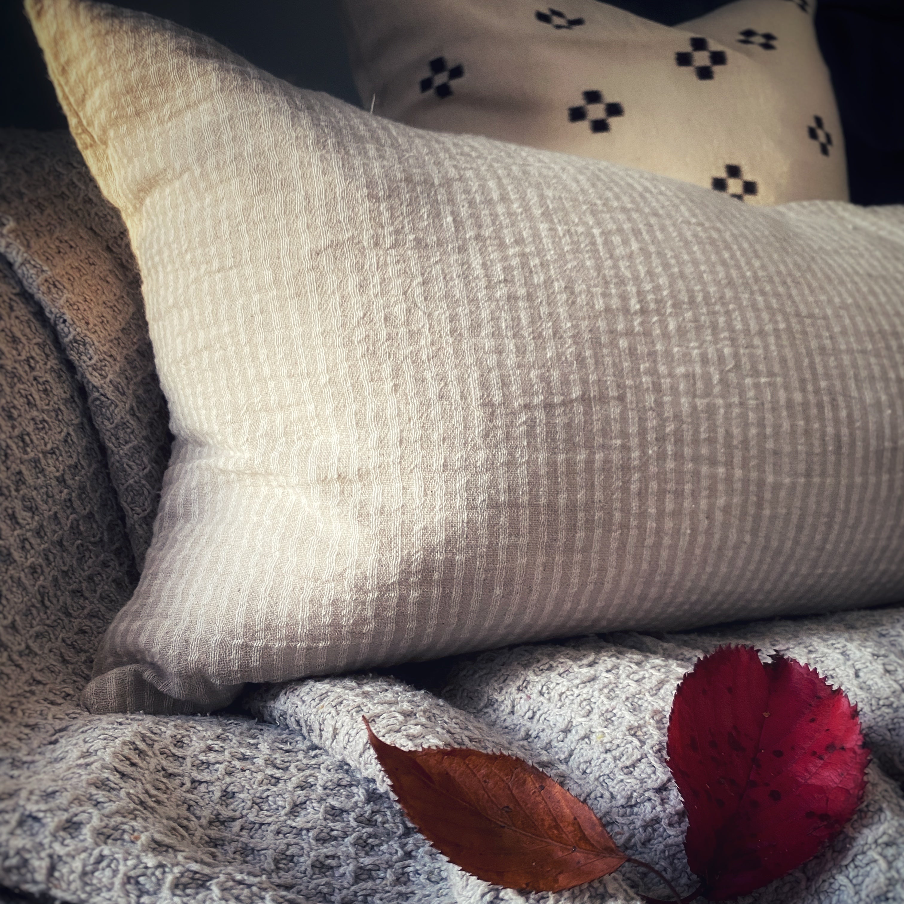 Earth tones pillow covers